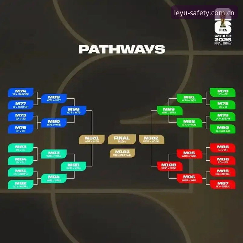 乐鱼体育数据安全 世界杯观赛受阻全面解析:从签证困局看体育赛事的全球挑战